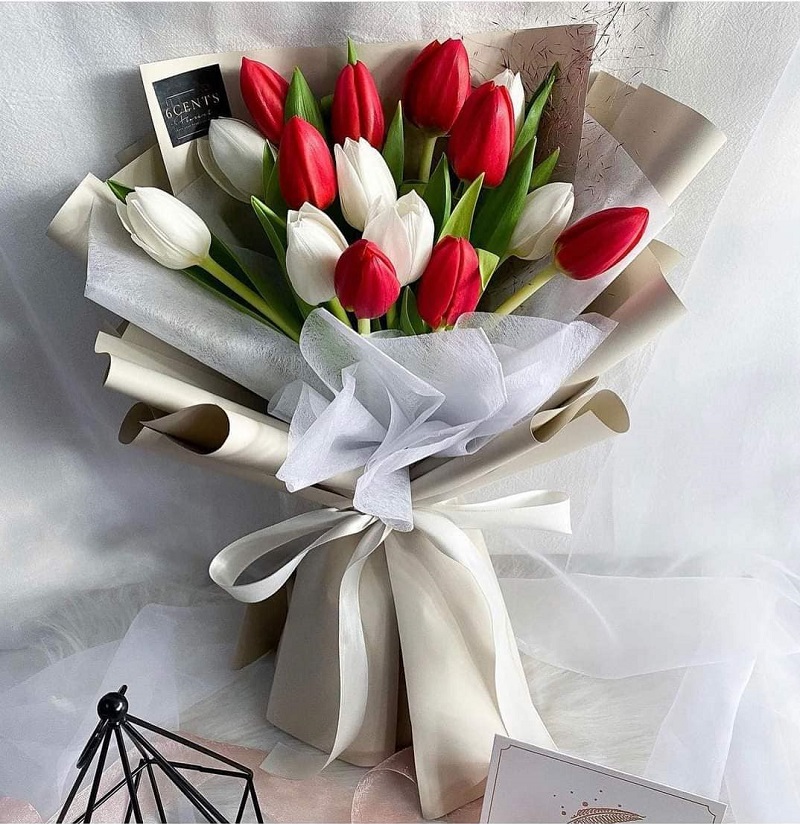 Hoa tulip lựa chọn đáng tin cậy