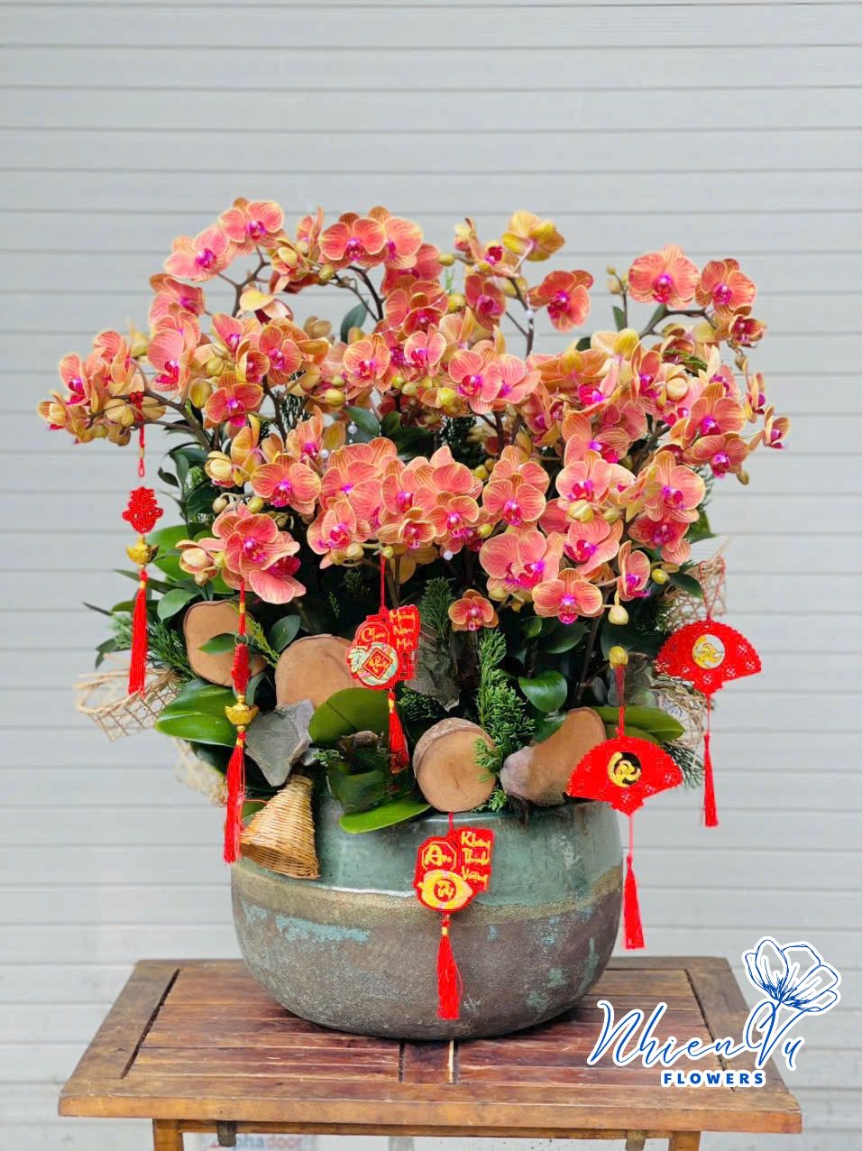 chậu lan hồ điệp cl036