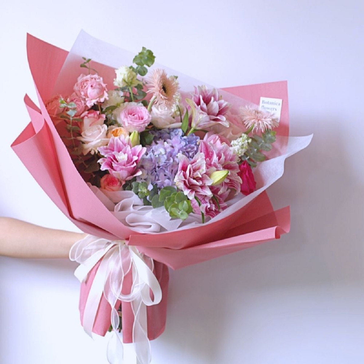Hoa ly được biết đến với vẻ đẹp thanh khiết