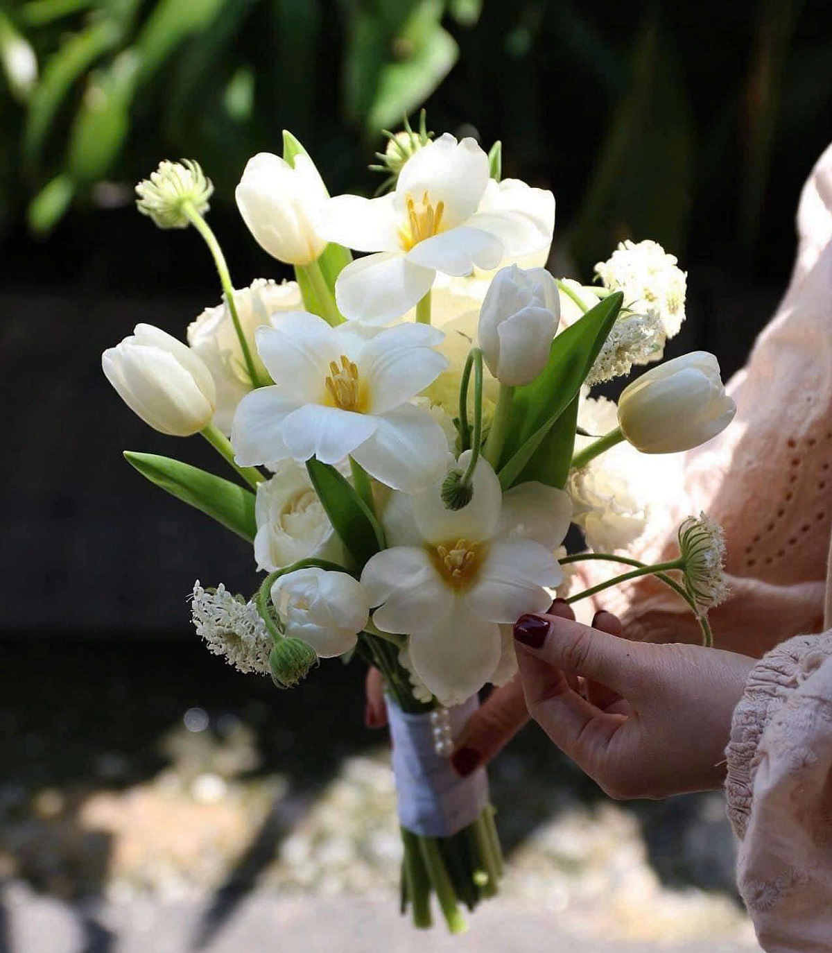 Bó hoa Tulip đẹp