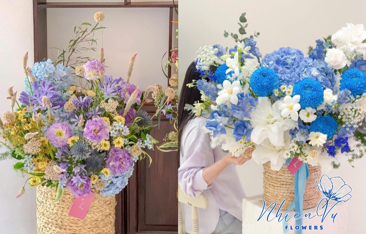 Hoa Hàn Quốc đẹp nên lựa chọn 