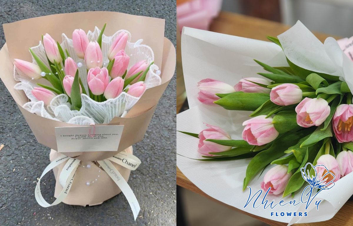 Hoa tulip nhẹ nhàng nhưng không kém phần sang trọng 