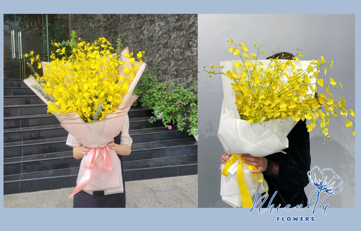 Mẫu hoa vũ nữ được lựa chọn hàng đầu 