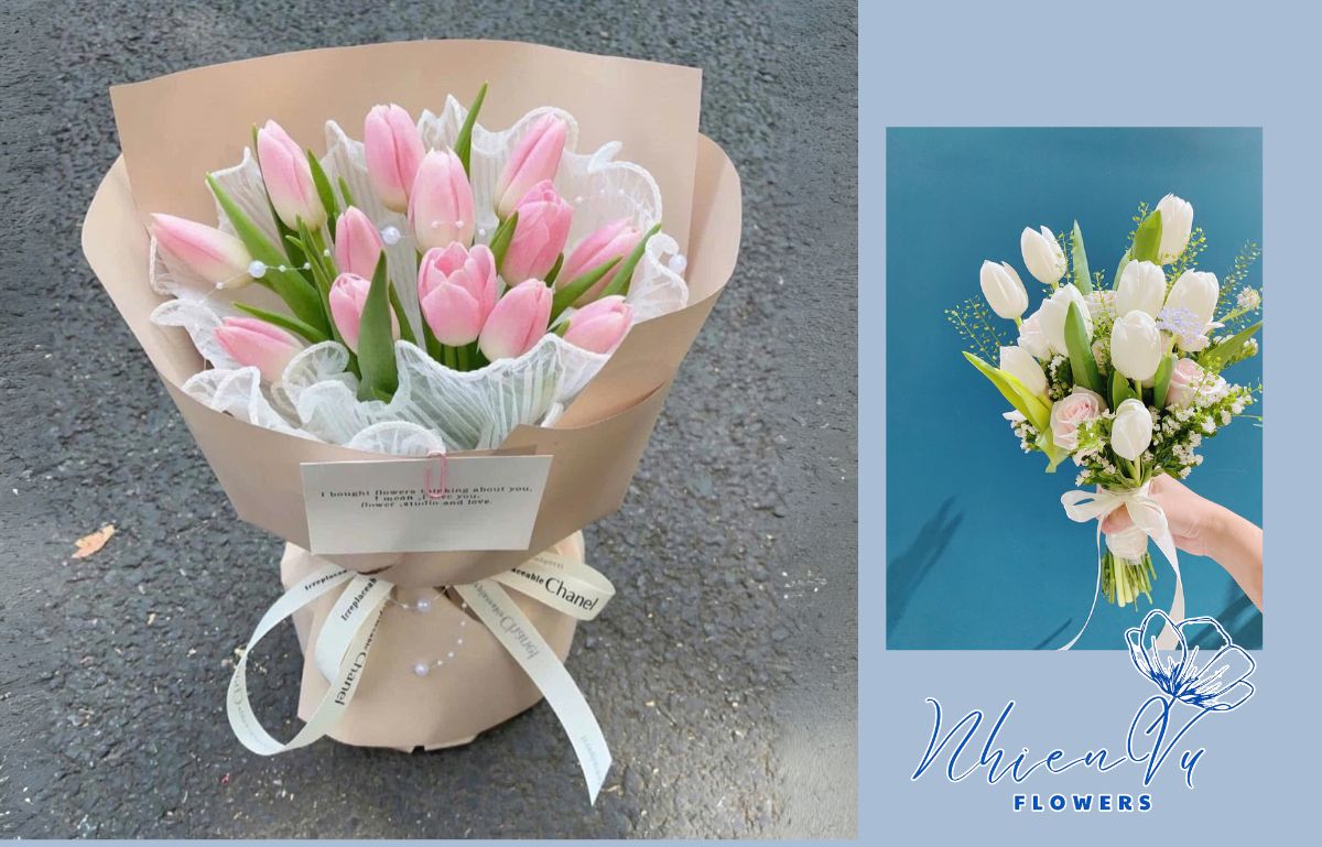 hoa tulip sang trọng và đẹp 