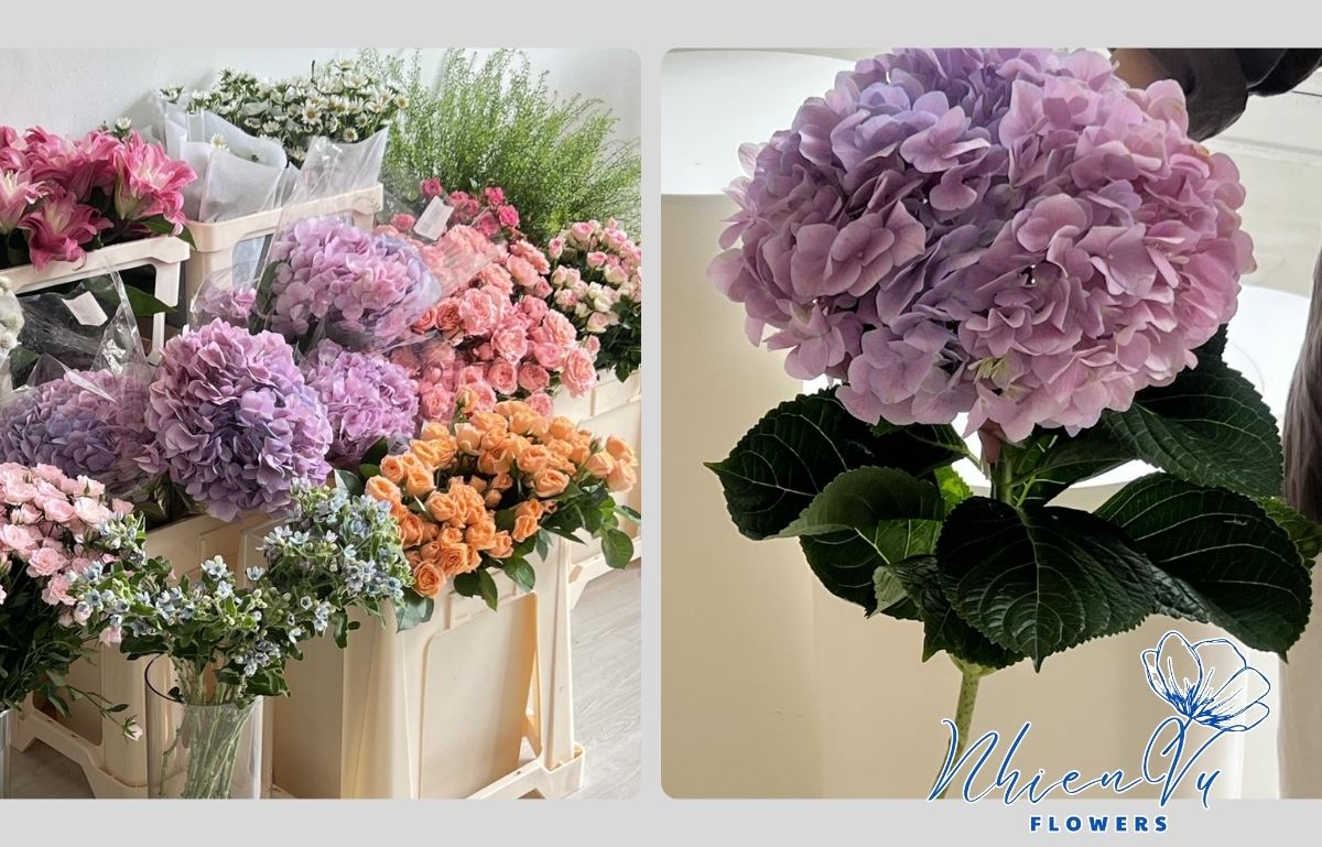 Địa chỉ mua hoa tặng sếp nên biết Mua hoa tặng sếp ở đâu uy tín?