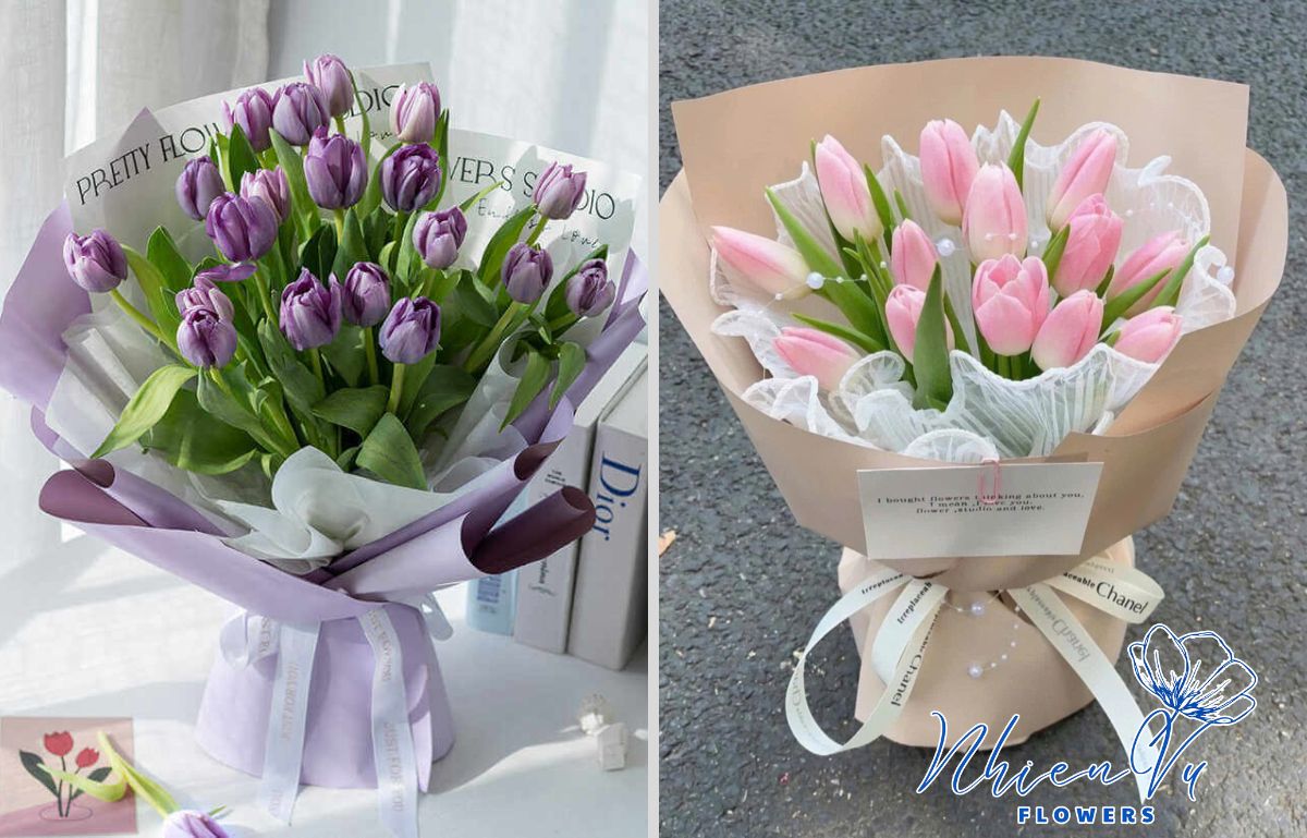 Mau hoa tulip màu sắc hài hoà đẹp 