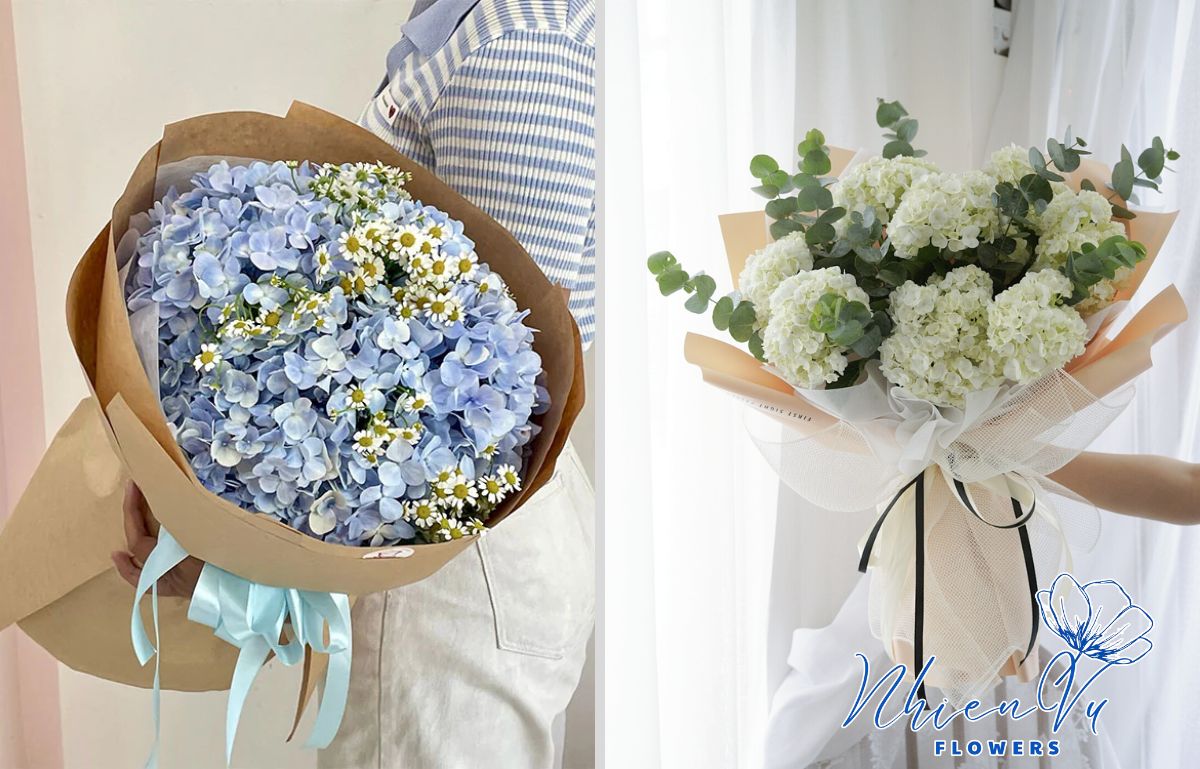 Hoa cẩm tú cầu dành tặng cho cô thầy 
