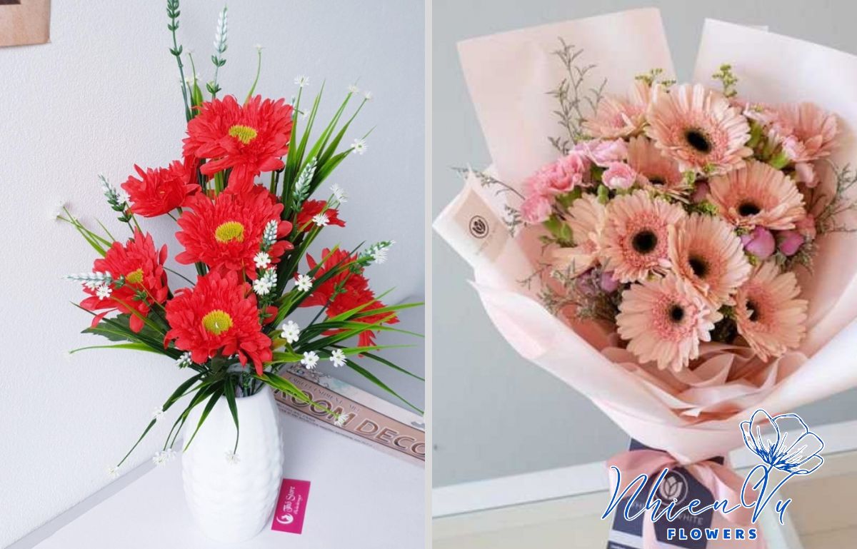 Mẫu hoa đồng tiền ý nghĩa giá rẻ 