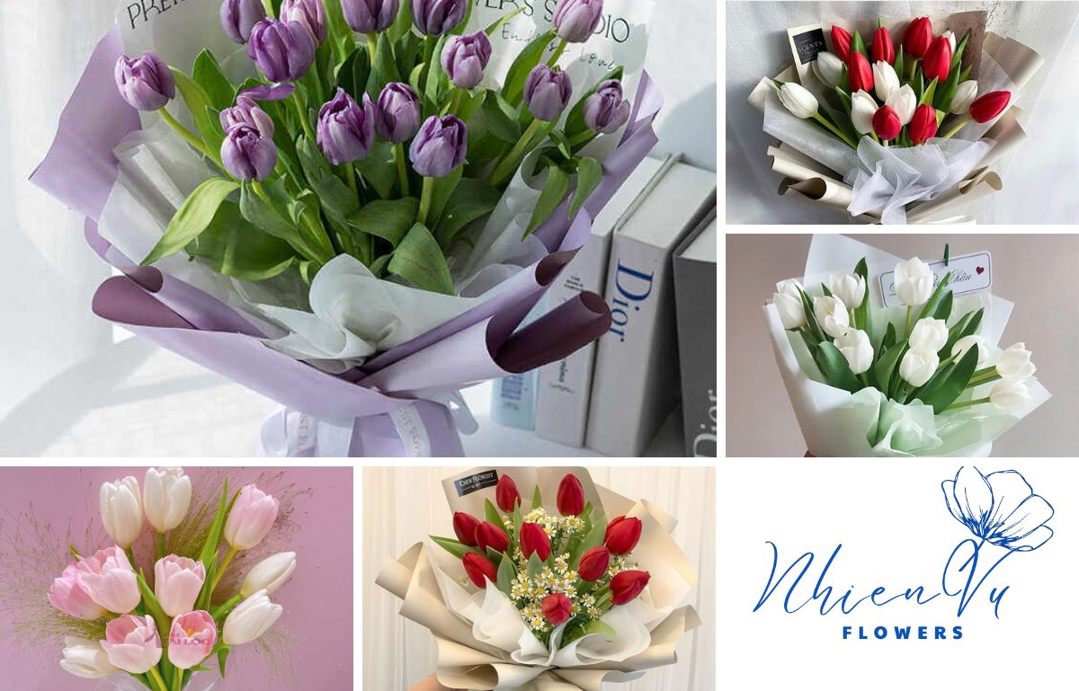 Hoa tulip mang lại sự sang trọng Các mẫu hoa tặng em bé đẹp