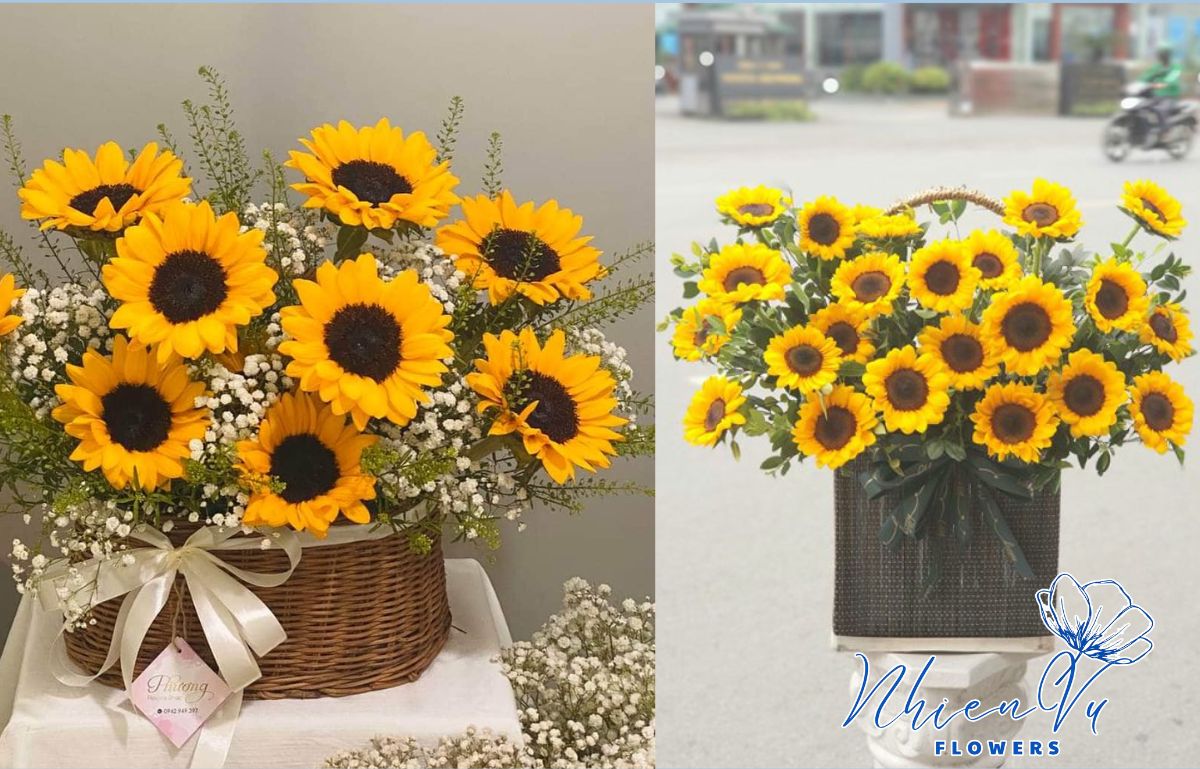 Hoa hướng dương đẹp phù hợp tặng sếp Hoa hướng dương mang đến sự khởi sắc