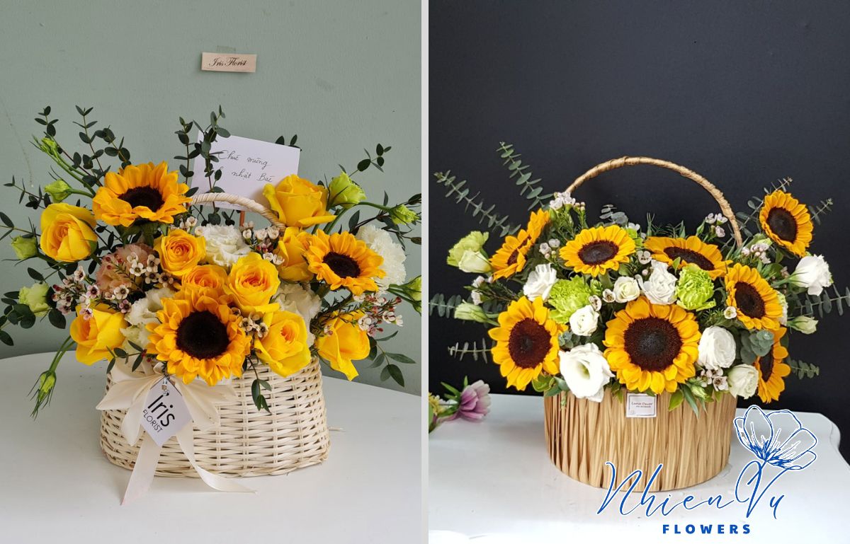 Hoa hướng dương đẹp, giá phù hợp nhất