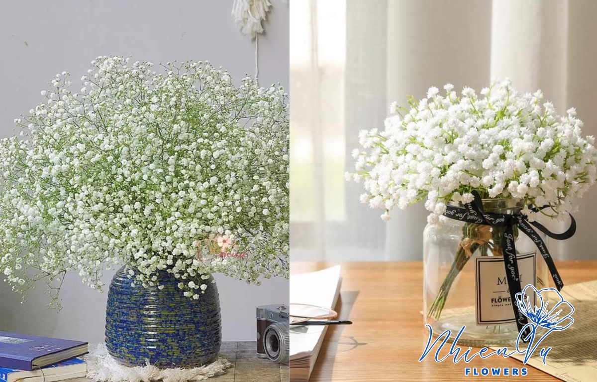 Hoa baby màu sắc tươi, đẹp 