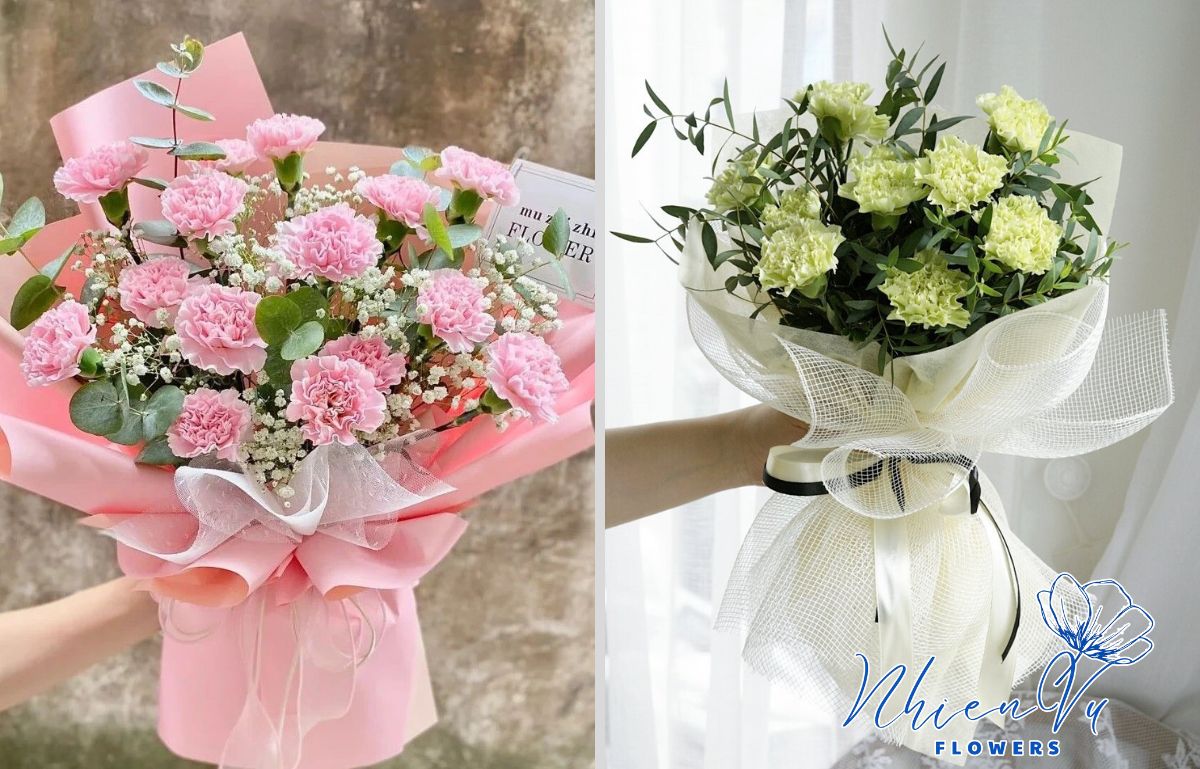 Hoa cẩm chướng đẹp, màu sắc tươi mới 