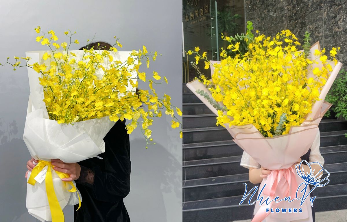 Vũ nữ sang trọng, mang lại nhiều may mắn Hoa vũ nữ minh chứng cho sự mạnh mẽ