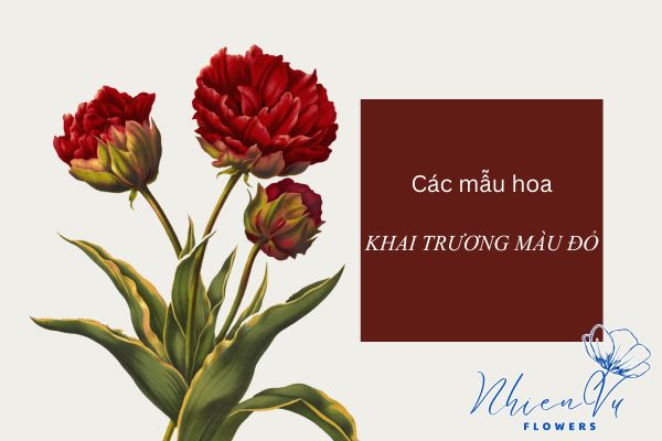 Hoa khai trương màu đỏ được yêu thích