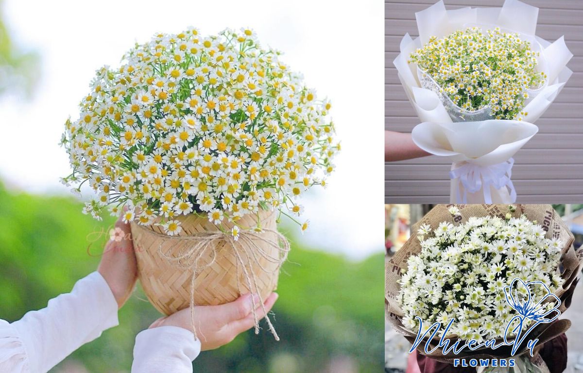 Mẫu hoa nhỏ nhắn xinh xắn được tặng cho bạn bè