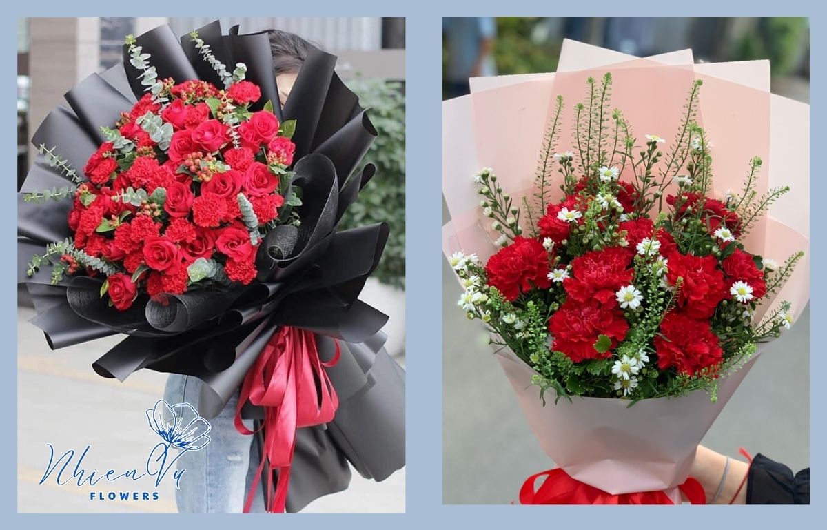 Hoa cẩm chướng đỏ cho tình bạn 