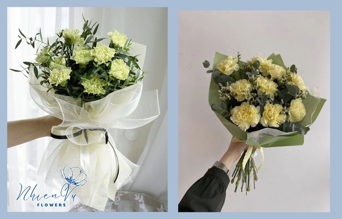 Ý nghĩa của hoa cẩm chướng vàng Hoa cẩm chướng vàng đẹp, sang trọng và giá rẻ