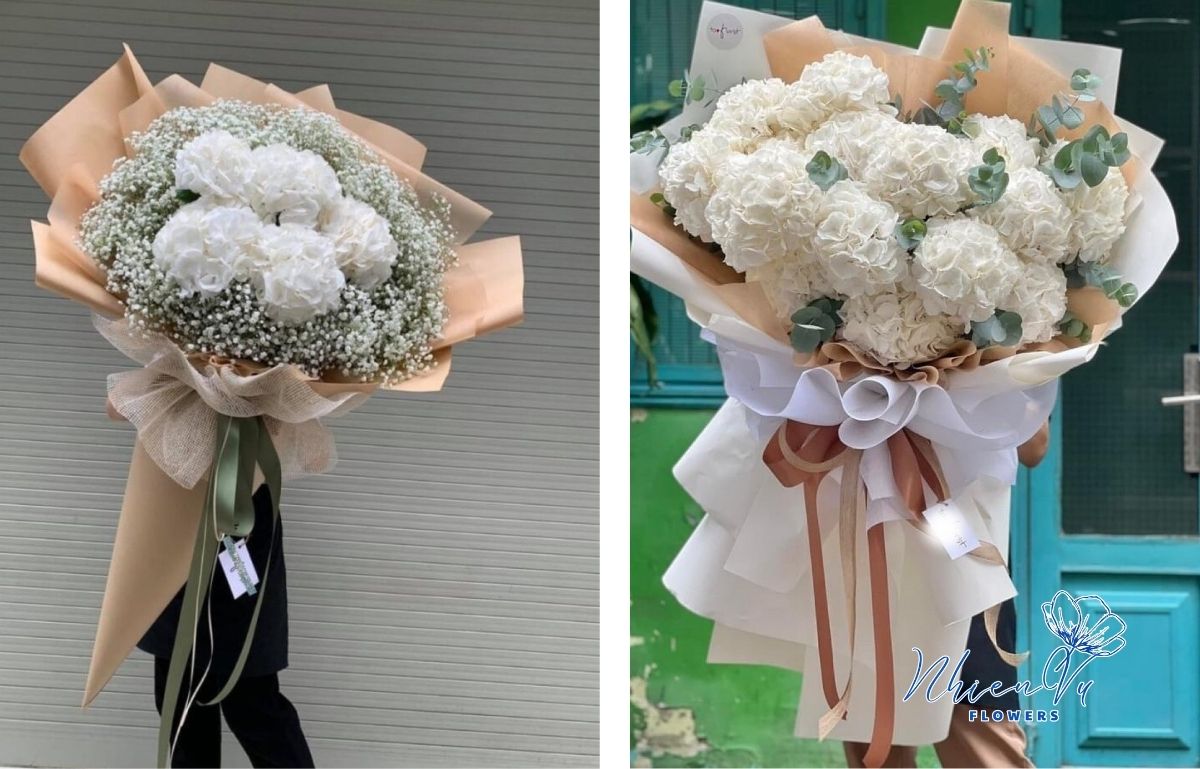 Mẫu hoa cẩm tú cầu được lựa chọn 