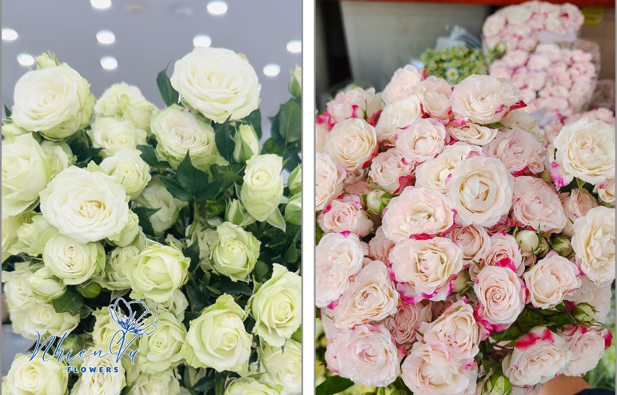 Các bước đặt hoa tươi ở shop Hoa Nhiên Vũ Hướng dẫn cách đặt hoa tươi ở shop Hoa Nhiên Vũ