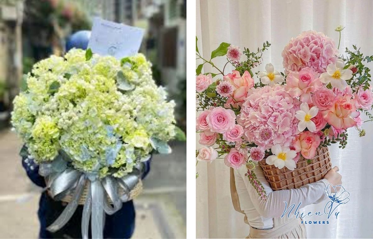 Mẫu hoa cẩm tú cầu được yêu thích 