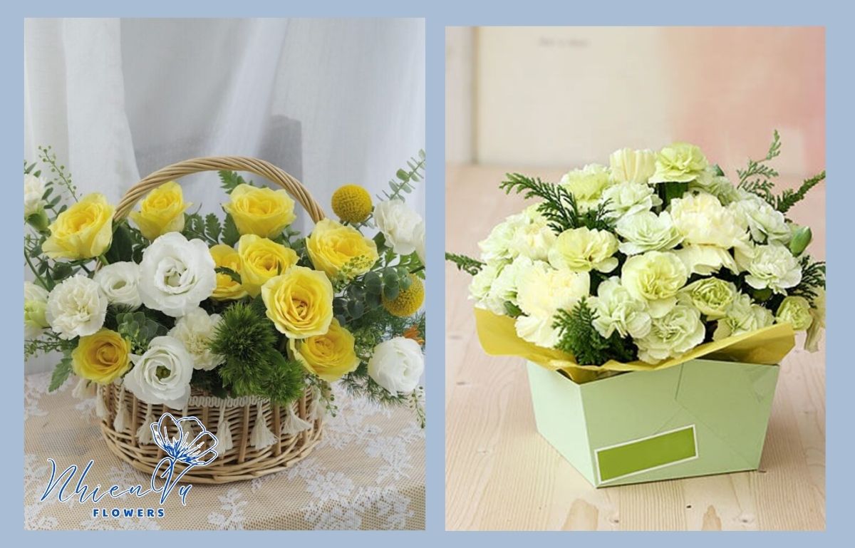 Mẫu hoa cẩm chướng vàng đẹp dành tặng mẹ Các dịp tặng hoa cẩm chướng vàng đẹp