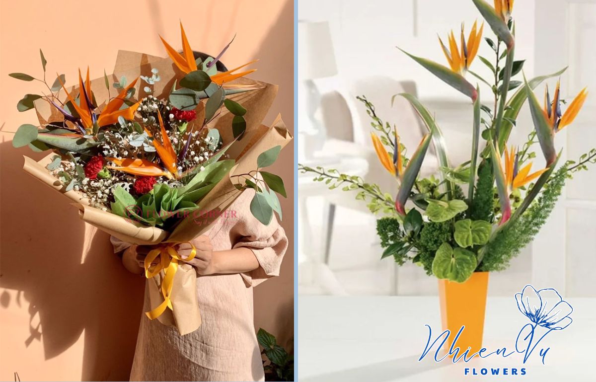 Kiểu dáng hoa đa dạng dễ dàng lựa chọn