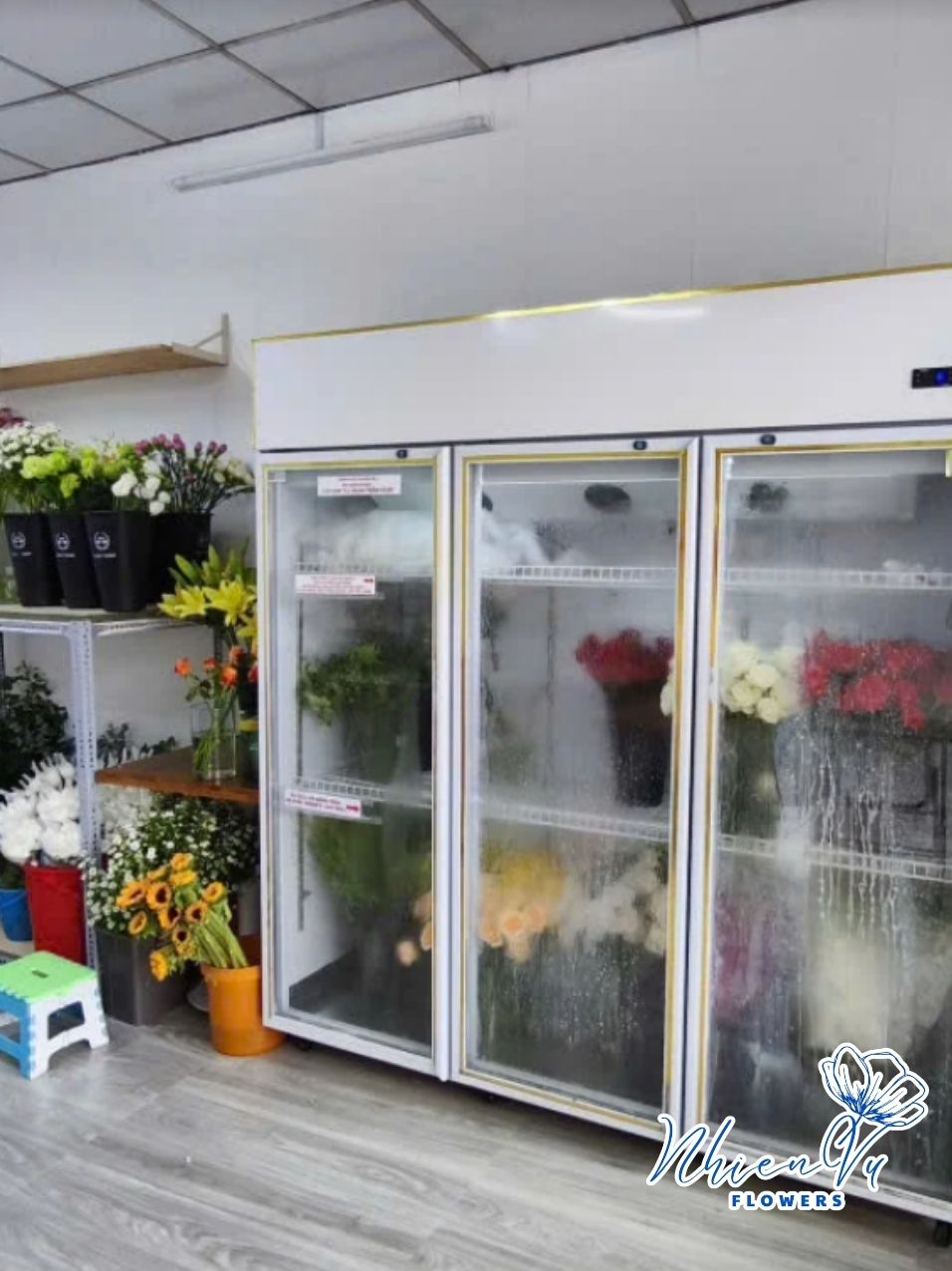 tiệm hoa nhiên vũ hoa tươi trong ngày