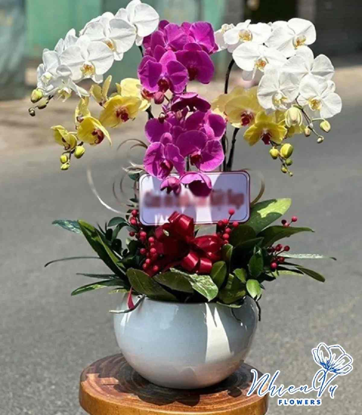 Chậu hoa ấn tượng với sự kết hợp của hoa trắng, vàng và tìm Chậu hoa với sự kết hợp của hoa trắng, vàng và tìm