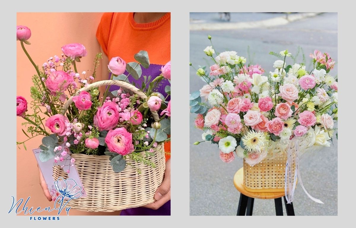 Hoa mao lương màu hồng được yêu thích