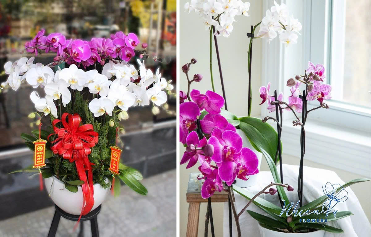 Tặng hoa tươi ngày nghỉ hưu đẹp, giá rẻ Tặng hoa tươi ngày nghỉ hưu đẹp