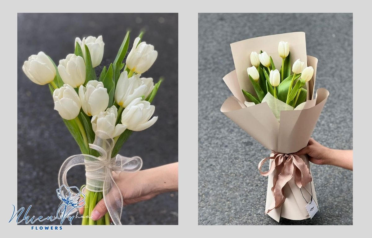 Những mẫu hoa tulip đẹp không nên bỏ qua