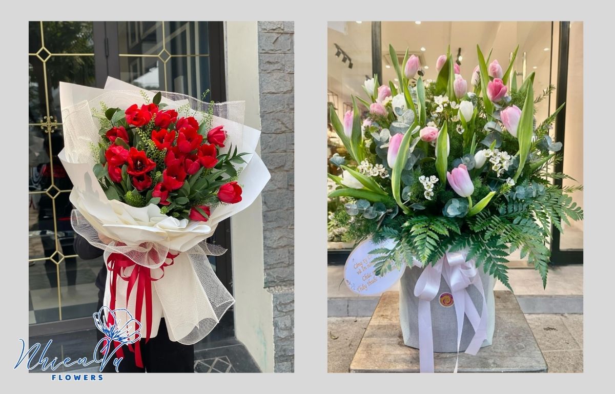 Mẫu hoa tặng sinh nhật - Hoa tulip nên mua 