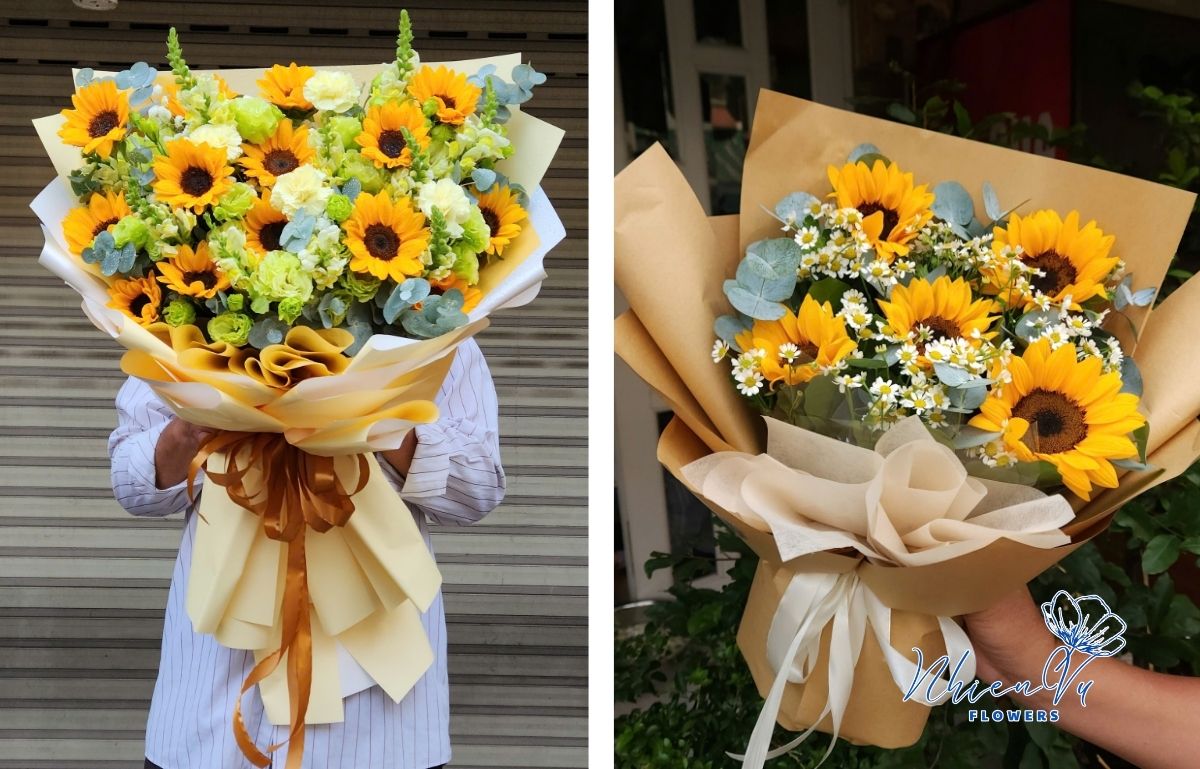 Hoa hướng dương có ý nghĩa gì Ý nghĩa của hoa hướng dương mà bạn nên biết
