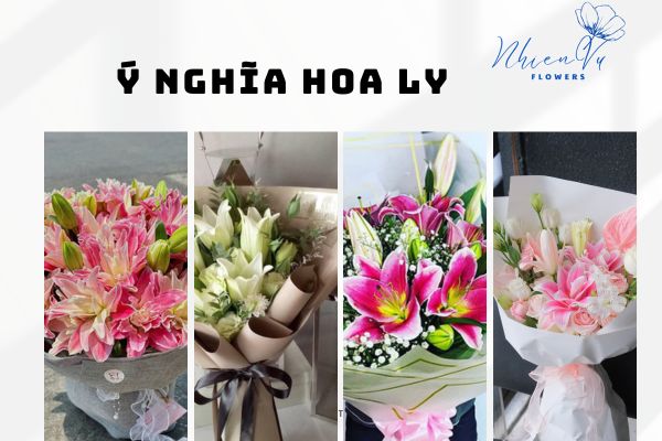 Ý nghĩa của hoa ly