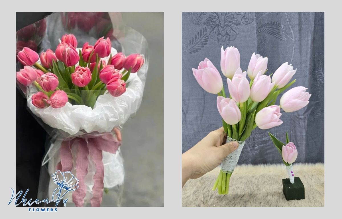 Các mẫu hoa tulip hồng đẹp hiện nay 