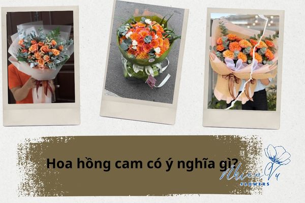 Mẫu hoa hồng cam đẹp nhiều mẫu ý nghĩa
