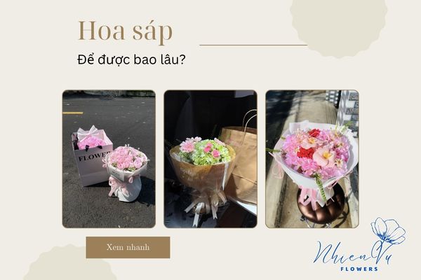 Hoa sáp để được bao lâu?