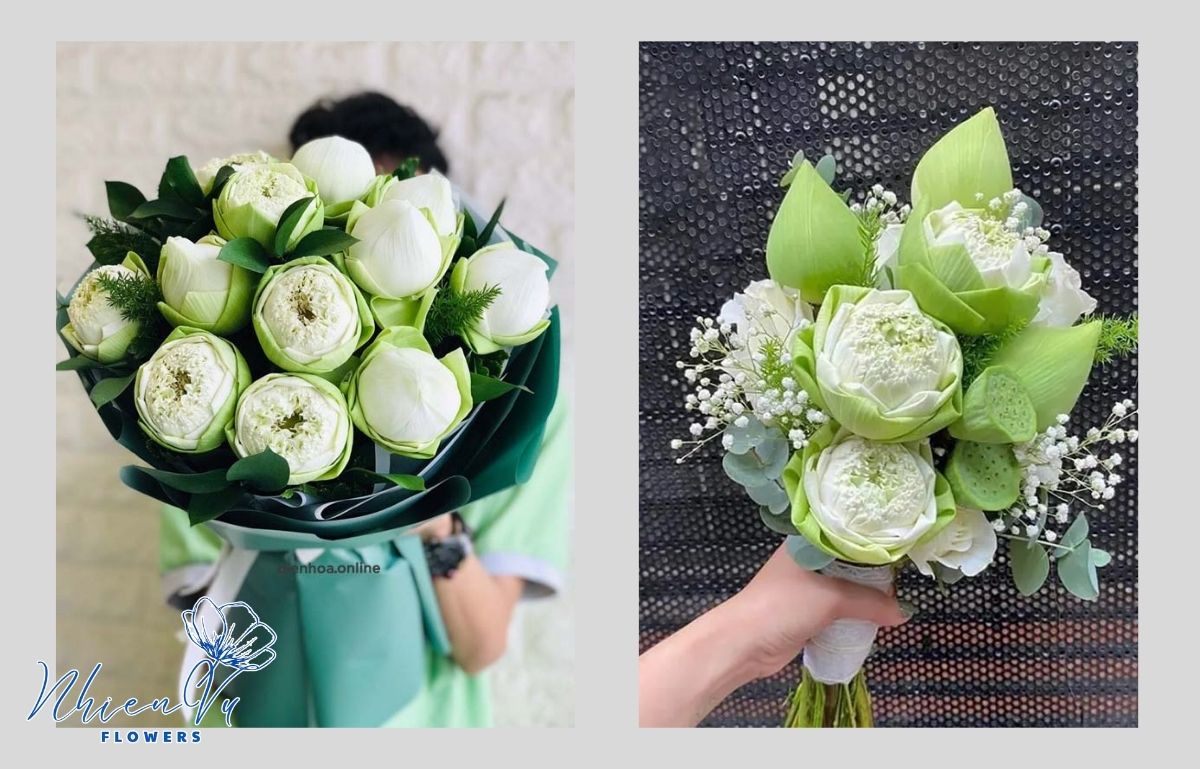 Mẫu hoa sen trắng đẹp được lựa chọn nhiều 